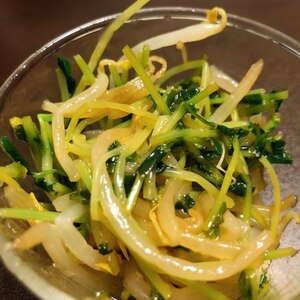 ★豆苗ともやしの中華和え★